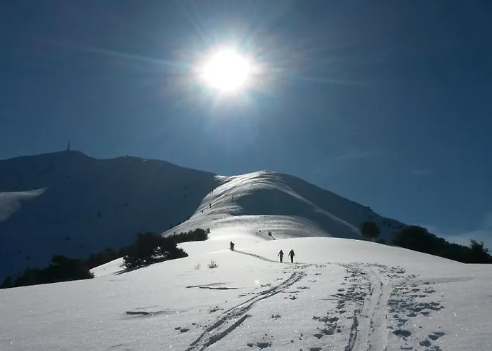 Double Alpes Du Sud Provence *