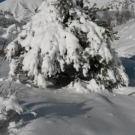 Double Alpes Du Sud Provence 펜션 Verdaches