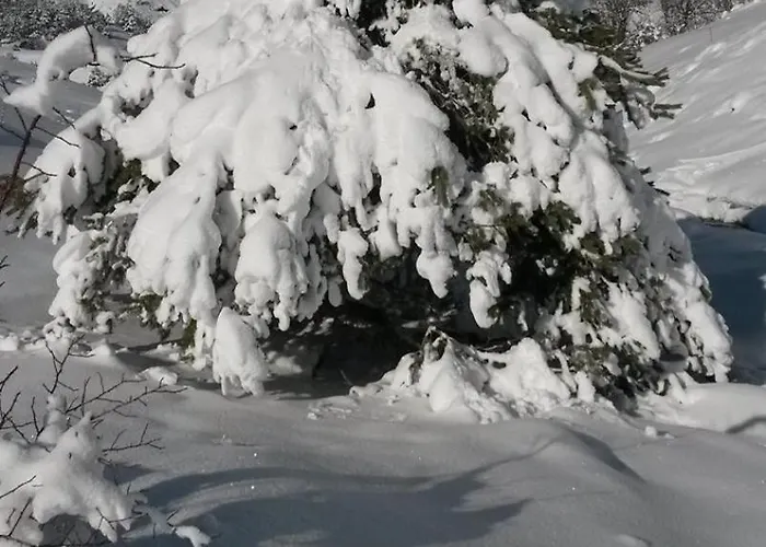 Double Alpes Du Sud Provence Holiday home Verdaches